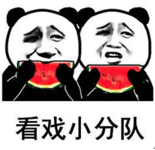 娱乐吃瓜酱表情包,趣味横生的网络潮流